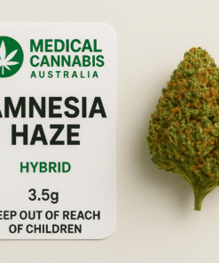 Amnesia Haze strain Australia