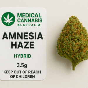 Amnesia Haze strain Australia