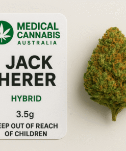 Jack Herer strain Australia